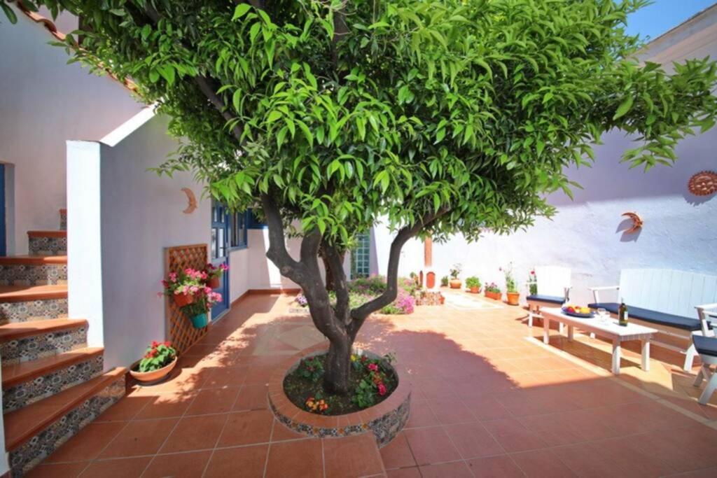 Philoxenia Guest House Skopelos Town Exterior foto